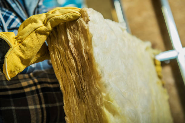 Best Insulation Removal  in Moss Beach, CA